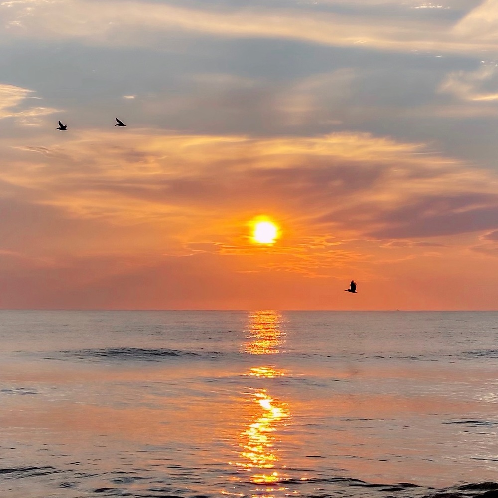 Meet your Posher, Carey